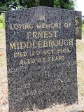image of grave number 735285